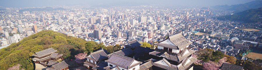 上空から撮影した松山城